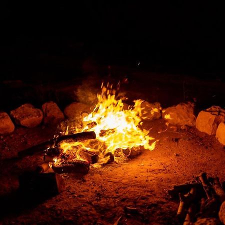 فندق The Rock Camp Petra وادي موسى المظهر الخارجي الصورة