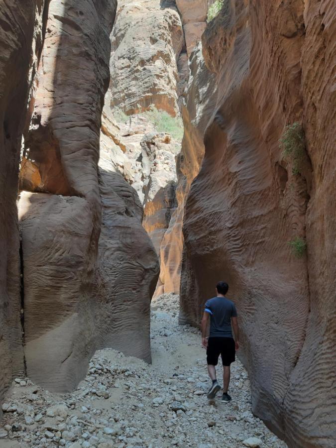 فندق The Rock Camp Petra وادي موسى المظهر الخارجي الصورة