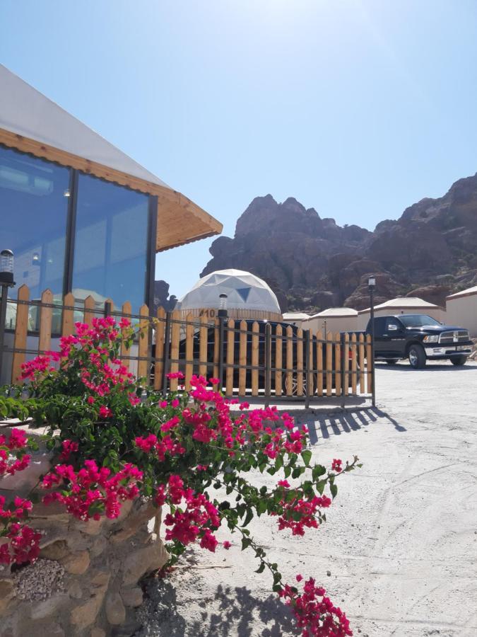 فندق The Rock Camp Petra وادي موسى المظهر الخارجي الصورة