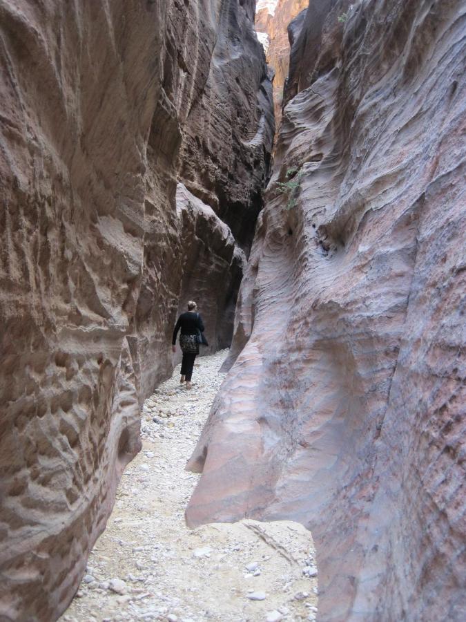 فندق The Rock Camp Petra وادي موسى المظهر الخارجي الصورة