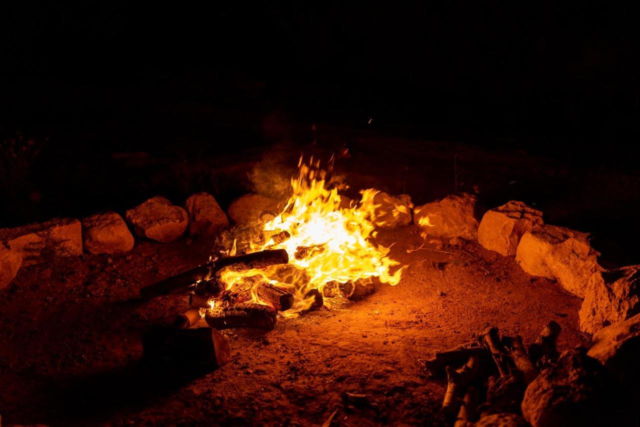 فندق The Rock Camp Petra وادي موسى المظهر الخارجي الصورة
